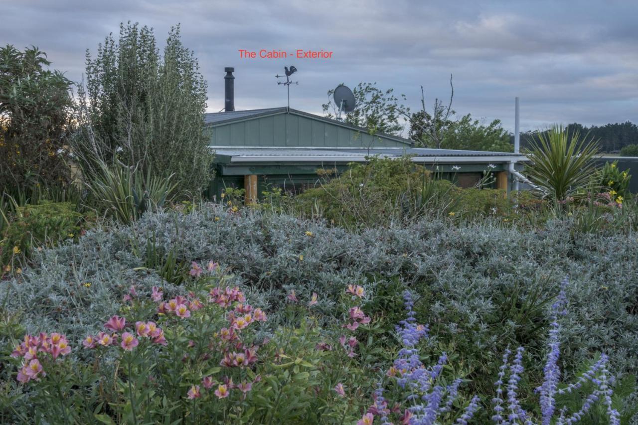 וולספורד Tracy'S Boutique B&B Farmstay מראה חיצוני תמונה